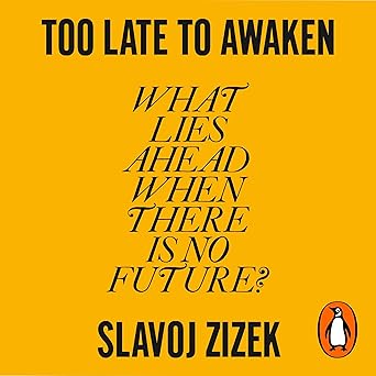 Too Late to Awaken: What Lies Ahead When There Is No Future?