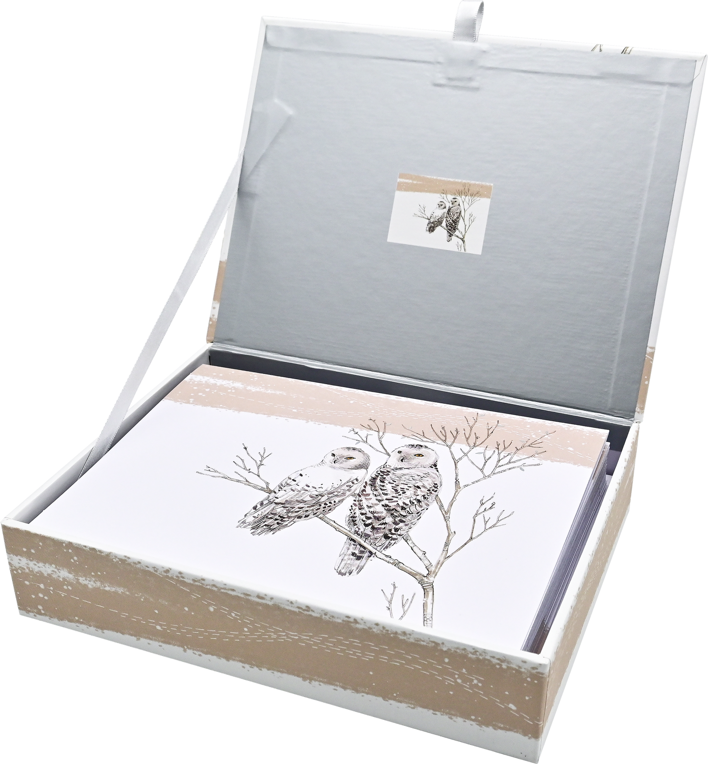 Snowy Owls Deluxe Boxed Holiday Cards