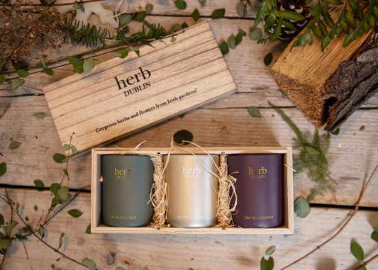 Herb Dublin Trio Candle Gift Set-Comfort & Joy, Mistletoe & Wine, Holly Jolly Christmas