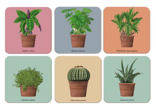 Coasters: Houseplants